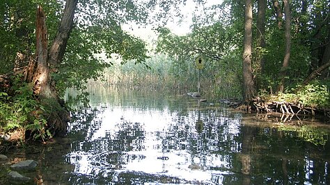 Bäk - die Verbindung vom Schmalen Luzin zum Carwitzer See